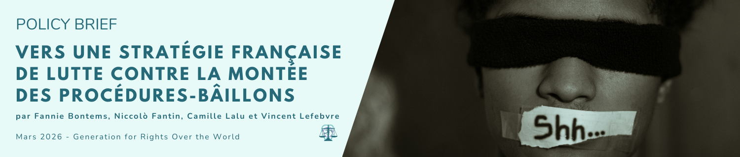 PB Vers une stratégie française de lutte contre la montée des procédures-bâillons FR